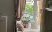 Туры в отель Kak Doma I Tochka Hostel Туры в отель Kak Doma I Tochka Hostel
