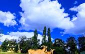 Туры в отель Polonezkoy Country Club & Accommodation in the Wildlife Park! Туры в отель Polonezkoy Country Club & Accommodation in the Wildlife Park!