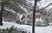 Туры в отель Polonezkoy Country Club & Accommodation in the Wildlife Park! Туры в отель Polonezkoy Country Club & Accommodation in the Wildlife Park!