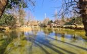 Туры в отель Polonezkoy Country Club & Accommodation in the Wildlife Park! Туры в отель Polonezkoy Country Club & Accommodation in the Wildlife Park!