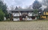 Туры в отель Polonezkoy Country Club & Accommodation in the Wildlife Park! Туры в отель Polonezkoy Country Club & Accommodation in the Wildlife Park!