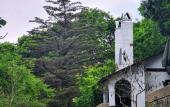 Туры в отель Polonezkoy Country Club & Accommodation in the Wildlife Park! Туры в отель Polonezkoy Country Club & Accommodation in the Wildlife Park!
