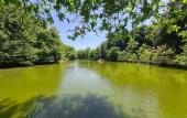 Туры в отель Polonezkoy Country Club & Accommodation in the Wildlife Park! Туры в отель Polonezkoy Country Club & Accommodation in the Wildlife Park!
