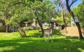 Туры в отель Polonezkoy Country Club & Accommodation in the Wildlife Park! Туры в отель Polonezkoy Country Club & Accommodation in the Wildlife Park!