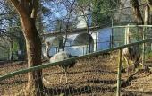 Туры в отель Polonezkoy Country Club & Accommodation in the Wildlife Park! Туры в отель Polonezkoy Country Club & Accommodation in the Wildlife Park!
