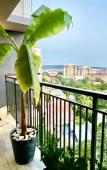 Туры в отель Apartments from Top Gelendzhik (Top Gelendzhik) Туры в отель Apartments from Top Gelendzhik (Top Gelendzhik)