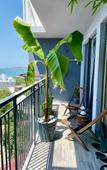 Туры в отель Apartments from Top Gelendzhik (Top Gelendzhik) Туры в отель Apartments from Top Gelendzhik (Top Gelendzhik)