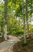 Туры в отель Les I Gora Guest house Туры в отель Les I Gora Guest house