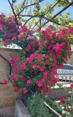 Туры в отель Na Sosnalieva 46 Guest House Туры в отель Na Sosnalieva 46 Guest House