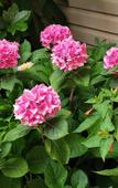 Туры в отель Morskaya Skazka Guest House Туры в отель Morskaya Skazka Guest House
