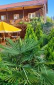 Туры в отель Morskaya Skazka Guest House Туры в отель Morskaya Skazka Guest House