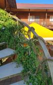 Туры в отель Morskaya Skazka Guest House Туры в отель Morskaya Skazka Guest House