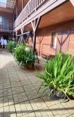 Туры в отель Morskaya Skazka Guest House Туры в отель Morskaya Skazka Guest House
