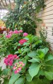 Туры в отель Morskaya Skazka Guest House Туры в отель Morskaya Skazka Guest House
