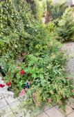 Туры в отель Morskaya Skazka Guest House Туры в отель Morskaya Skazka Guest House