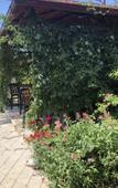Туры в отель Morskaya Skazka Guest House Туры в отель Morskaya Skazka Guest House