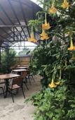 Туры в отель Morskaya Skazka Guest House Туры в отель Morskaya Skazka Guest House