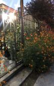 Туры в отель Morskaya Skazka Guest House Туры в отель Morskaya Skazka Guest House