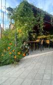 Туры в отель Morskaya Skazka Guest House Туры в отель Morskaya Skazka Guest House