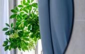 Туры в отель Stilnaya na Gagarina Flat Туры в отель Stilnaya na Gagarina Flat