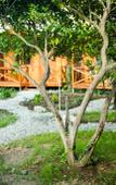 Туры в отель Teremki Recreation Camp Туры в отель Teremki Recreation Camp