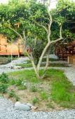 Туры в отель Teremki Recreation Camp Туры в отель Teremki Recreation Camp