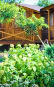Туры в отель Teremki Recreation Camp Туры в отель Teremki Recreation Camp