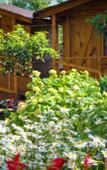 Туры в отель Teremki Recreation Camp Туры в отель Teremki Recreation Camp