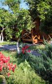 Туры в отель Teremki Recreation Camp Туры в отель Teremki Recreation Camp