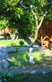 Туры в отель Teremki Recreation Camp Туры в отель Teremki Recreation Camp