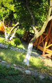 Туры в отель Teremki Recreation Camp Туры в отель Teremki Recreation Camp
