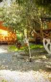Туры в отель Teremki Recreation Camp Туры в отель Teremki Recreation Camp