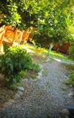 Туры в отель Teremki Recreation Camp Туры в отель Teremki Recreation Camp