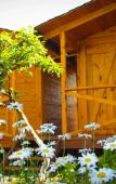 Туры в отель Teremki Recreation Camp Туры в отель Teremki Recreation Camp