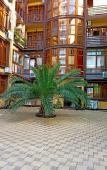 Туры в отель Na Prosvescheniya 157/2 Apartments Туры в отель Na Prosvescheniya 157/2 Apartments