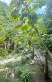 Туры в отель Domik U Galiny Guest house Туры в отель Domik U Galiny Guest house