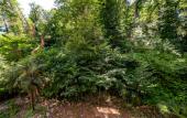 Туры в отель Sun City V Tsentre Sochi Apartments Туры в отель Sun City V Tsentre Sochi Apartments