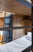 Туры в отель Tropica Inn Hostel Туры в отель Tropica Inn Hostel