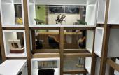 Туры в отель Tropica Inn Hostel Туры в отель Tropica Inn Hostel
