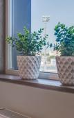 Туры в отель Kompleks Apartamentov Yuniti By Sokroma Hotel Туры в отель Kompleks Apartamentov Yuniti By Sokroma Hotel