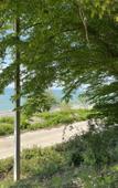 Туры в отель Alkha Guest House Туры в отель Alkha Guest House