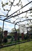 Туры в отель Alkha Guest House Туры в отель Alkha Guest House