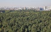 Туры в отель Oblako nad parkom Apartment Туры в отель Oblako nad parkom Apartment