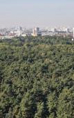Туры в отель Oblako nad parkom Apartment Туры в отель Oblako nad parkom Apartment