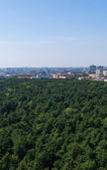 Туры в отель Oblako nad parkom Apartment Туры в отель Oblako nad parkom Apartment