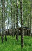 Туры в отель Glamping Norke Yeseninskaya Rus Туры в отель Glamping Norke Yeseninskaya Rus