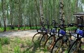 Туры в отель Glamping Norke Yeseninskaya Rus Туры в отель Glamping Norke Yeseninskaya Rus