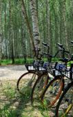 Туры в отель Glamping Norke Yeseninskaya Rus Туры в отель Glamping Norke Yeseninskaya Rus