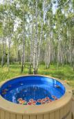 Туры в отель Glamping Norke Yeseninskaya Rus Туры в отель Glamping Norke Yeseninskaya Rus