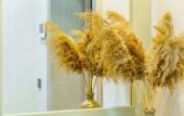 Туры в отель Good Night Apartments Туры в отель Good Night Apartments